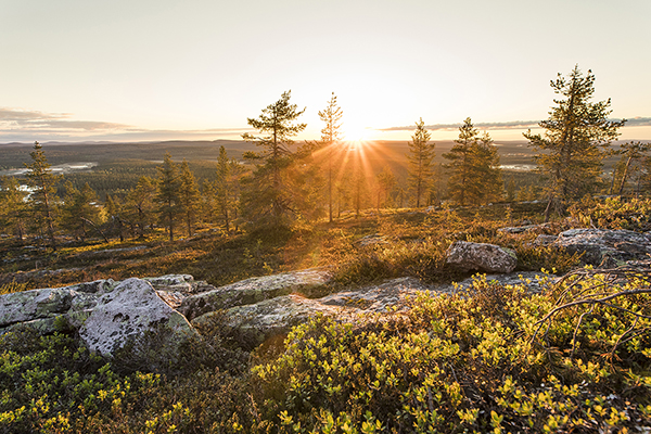 Lapland Food Club net