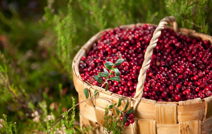 TASTY WESTERN LAKELAND. Foto: Hanna-Kaisa Hämäläinen