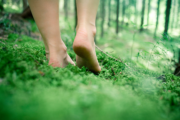 Business_Finland_Forest_014